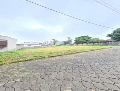 imagem-miniatura