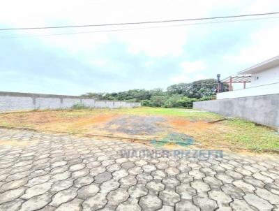 imagem-miniatura