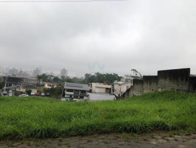 imagem-miniatura
