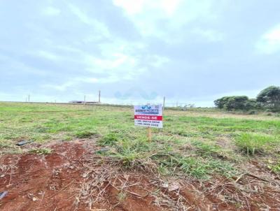 Terreno para Venda, em Iara, bairro Cristo Rei