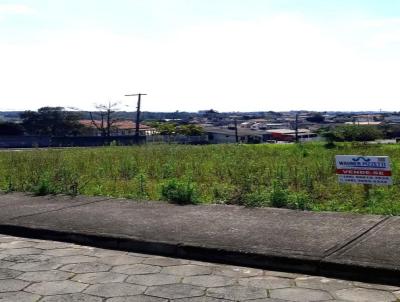 Terreno para Venda, em Iara, bairro Jardim Silvana
