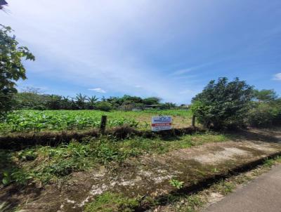 Terreno Residencial para Venda, em Cricima, bairro Pinheirinho