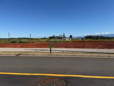 Terreno para Venda, em Iara, bairro Cristo Rei