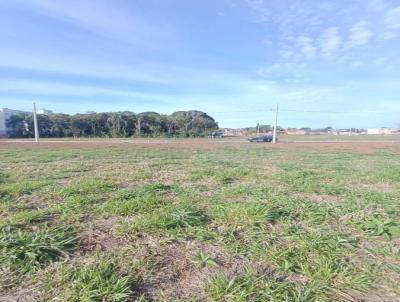 Terreno para Venda, em Iara, bairro Tereza Cristina