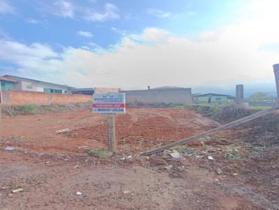 Terreno para Venda, em Cricima, bairro Me Luzia