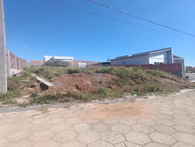 imagem-miniatura