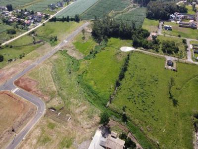 Loteamento para Venda, em I�ara, bairro Aurora