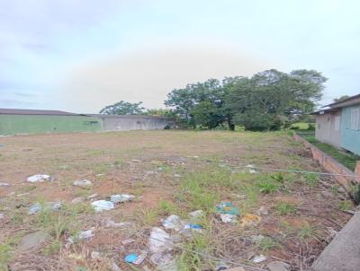 Terreno para Venda, em I�ara, bairro Jaqueline
