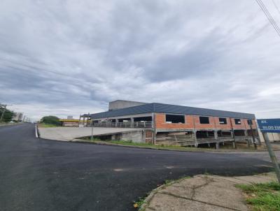 Galp�o para Venda, em , bairro 1� de Maio