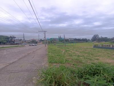 Terreno para Venda, em I�ara, bairro Primeiro de Maio