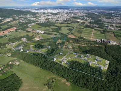 Loteamento para Venda, em , bairro Naspolini