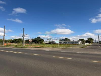Alto Padr�o para Venda, em Forquilhinha, bairro Vila Lourdes