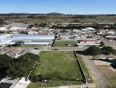 Alto Padr�o para Venda, em Bom Jardim da Serra, bairro Centro