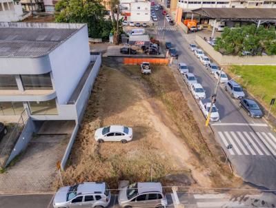 Alto Padr�o para Venda, em I�ara, bairro Centro